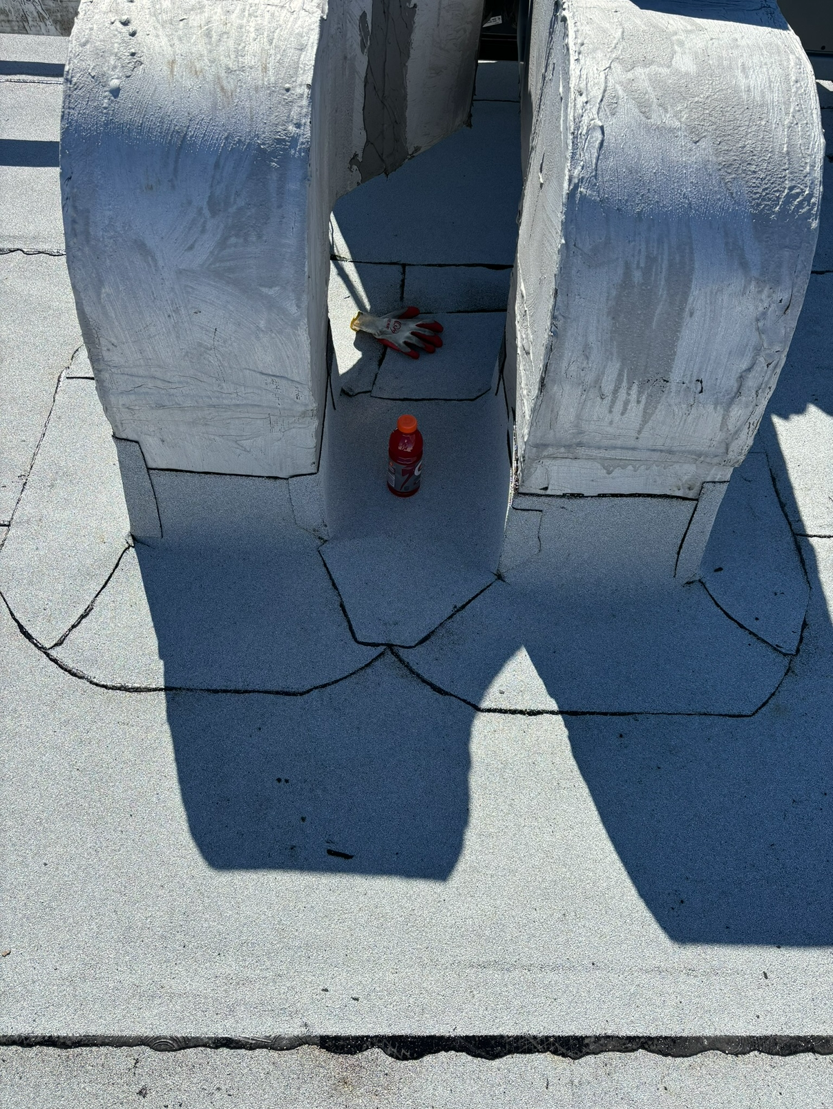 IMG 3379